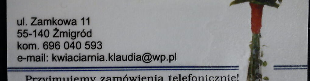 Zdjęcie w galerii Klaudia nr 1