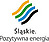 Logo - Urząd Marszałkowski Województwa Śląskiego, Ligonia 46 40-037 - Urząd Wojewódzki, godziny otwarcia, numer telefonu