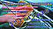 Logo - Myjnia Samochodowa Ręczna, Krakowska 34 wjazd od Bautscha 26-800 - Ręczna - Myjnia samochodowa, godziny otwarcia, numer telefonu