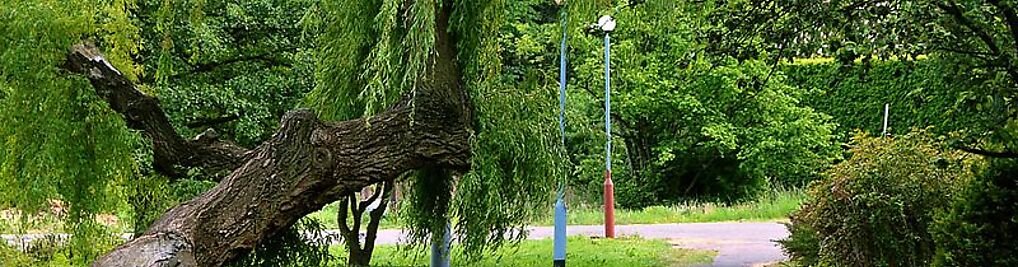 Zdjęcie w galerii PG Camper Park nr 4