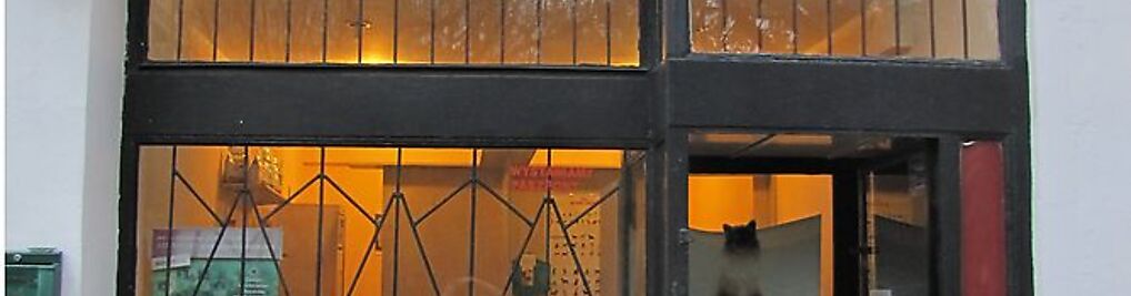 Zdjęcie w galerii Reksio Gabinet Weterynaryjny nr 1
