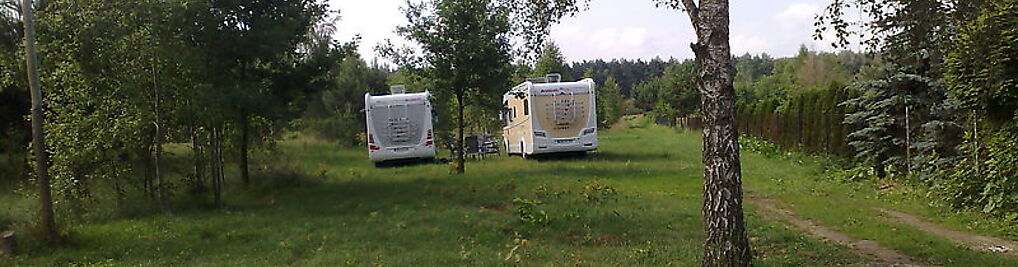 Zdjęcie w galerii Tanne nr 1