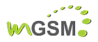 Logo - mGSM -skup/sprzedaż/naprawa/akcesoria gsm, Człuchowska 25 01-360 - GSM - Serwis, godziny otwarcia, numer telefonu