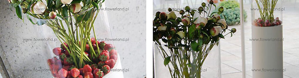 Zdjęcie w galerii Kwiaciarnia Flower Land Hubert Lamański Mistrz Florystyki nr 3