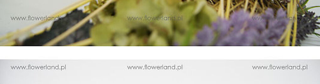 Zdjęcie w galerii Kwiaciarnia Flower Land Hubert Lamański Mistrz Florystyki nr 9