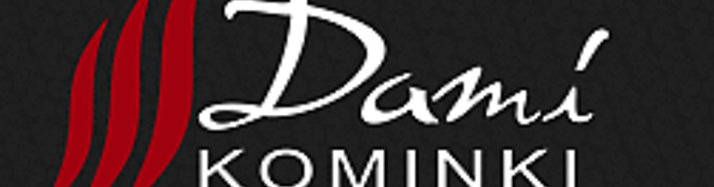 Zdjęcie w galerii Dami_Kominki nr 1