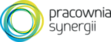 Logo - Pracownia Synergii, al. Niepodległości 245 / 17, Warszawa 02-009 - Usługi, godziny otwarcia, numer telefonu