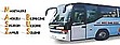 Logo - Autobus, Autokar, Bus - Wynajem, Przewóz - Masz Bus, Szczecin 70-940 - Usługi transportowe, godziny otwarcia, numer telefonu