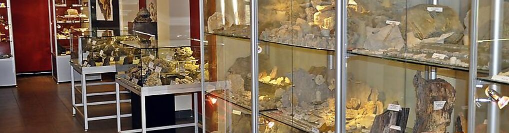 Zdjęcie w galerii Kolekcja Minerałów Ziemi Olkuskiej i Skamieniałości nr 2