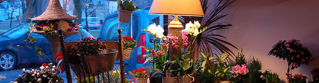 Zdjęcie w galerii Kwiaciarnia Ogród Marzeń nr 2