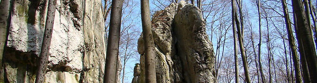 Zdjęcie w galerii Rezerwat Przyrody Pazurek nr 1