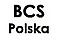 Logo - BCS Polska Sp. z o.o., al. Kasztanowa 18, Wrocław 53-125 - Usługi, godziny otwarcia, numer telefonu