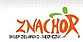 Logo - Znachor Internetowy sklep zielarsko – medyczny, Lublin 10, Lublin 20-243 - Medyczny - Sklep, numer telefonu