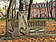Logo - Park im. Jana Jonstona, Aleje Jana Pawła II, Leszno 64-101 - Park, Ogród