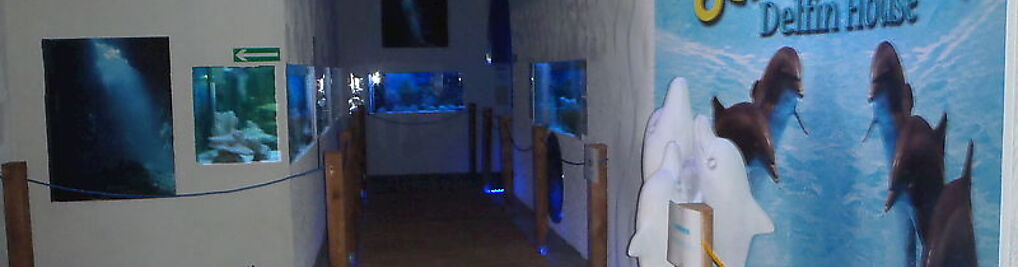 Zdjęcie w galerii Pokoje Apartamenty Łeba Oceanarium Dolphin House nr 7