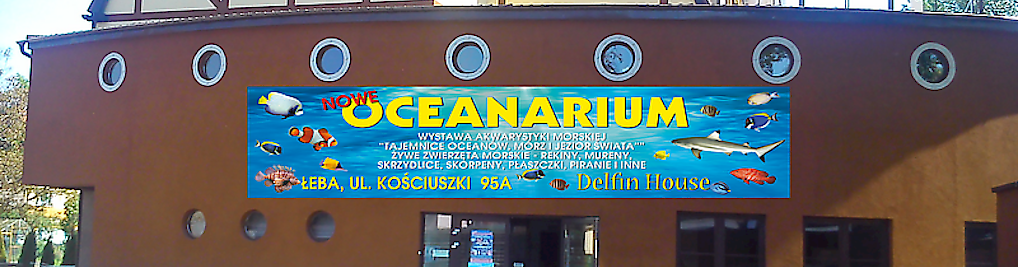 Zdjęcie w galerii Pokoje Apartamenty Łeba Oceanarium Dolphin House nr 1