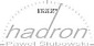 Logo - HADRON - Sklep z elektronika użytkową do samochodów, Warszawa 01-755 - Centrum Car Audio - Sklep, godziny otwarcia, numer telefonu