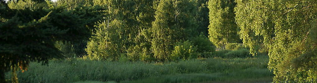 Zdjęcie w galerii Rybaczówka Borsuki nr 8
