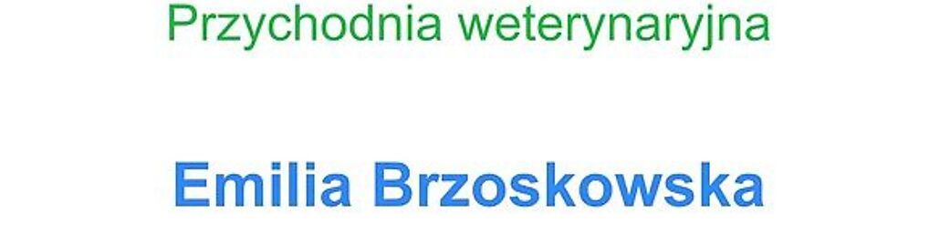 Zdjęcie w galerii Vetka Przychodnia Weterynaryjna nr 1