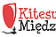 Logo - Kitesurfing Międzyzdroje, Niepodległości 3b, Międzyzdroje 72-500 - Windsurfing - kitesurfing, numer telefonu