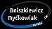 Logo - CARSERWIS Aniszkiewicz & Nyćkowiak, Szczecin 70-100 - Warsztat naprawy samochodów, godziny otwarcia, numer telefonu