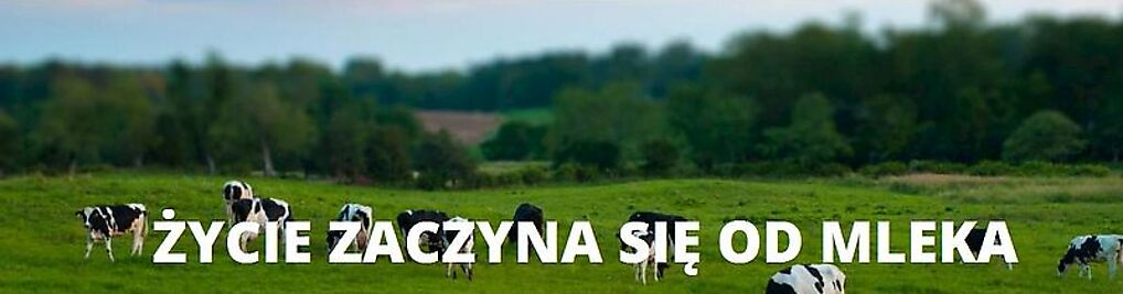 Zdjęcie w galerii Abam Food Sp. z o.o. nr 1
