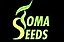 Logo - TOMA SEEDS Tomasz Marasik, Rybna 681, Rybna 32-061 - Przedsiębiorstwo, Firma, numer telefonu