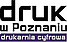 Logo - Druk w Poznaniu Grupa Projekt 11 Spółka Jawna, Rawicka 124 60-113 - Drukarnia, godziny otwarcia, numer telefonu