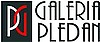 Logo - Galeria Pledan, Fabryczna 9, Skoczów 43-430, godziny otwarcia, numer telefonu