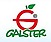 Logo - Grupa Producentów Owoców Galster sp. z o.o., Wierzchucice 31 86-014 - Przedsiębiorstwo, Firma, godziny otwarcia, numer telefonu