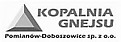 Logo - Kopalnia Gnejsu Pomianów Doboszowice, Pomianów Górny 47 57-230 - Przedsiębiorstwo, Firma, godziny otwarcia, numer telefonu, NIP: 8871646910