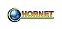 Logo - Hornet Agencja Celna, Myśliborska 36, Gorzów Wielkopolski 66-400 - Przedsiębiorstwo, Firma, numer telefonu