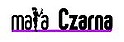Logo - Kawiarnia mała Czarna, Kazimierza Wielkiego 8 37-700 - Kawiarnia, godziny otwarcia, numer telefonu