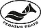 Logo - PEGAZUS BOATS Sp. z o.o., Augustowska 55, Sztabin 16-310 - Przedsiębiorstwo, Firma, godziny otwarcia, numer telefonu