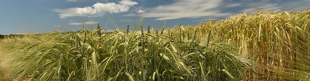 Zdjęcie w galerii Biotek Agriculture Polska nr 2