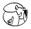 Logo - ZUCHOWE STUDIO, SpoKoWork, ul. Woźna 9c/2, Poznań 61-777 - Przedsiębiorstwo, Firma