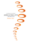 Logo - 