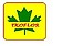 Logo - Gorczyńskie Przedsiębiorstwo Urządzania Terenów Zieleni Ekoflor 66-400 - Przedsiębiorstwo, Firma, godziny otwarcia, numer telefonu, NIP: 5990112426
