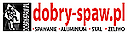 Logo - dobry-spaw.pl SPAWANIE, Widoczna 91, Warszawa 04-661 - Ślusarz, godziny otwarcia, numer telefonu