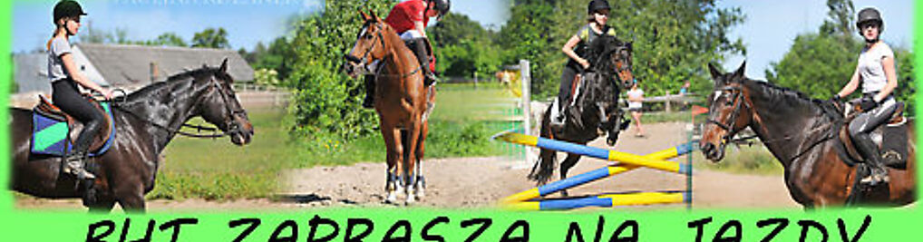 Zdjęcie w galerii Black Horse Team - Nauka jazdy konnej - Gdańsk Owczarnia nr 1