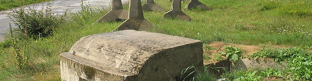 Zdjęcie w galerii Muzeum Fortyfikacji Pancernej Twierdzy Toruń nr 3