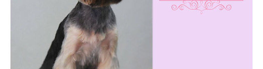 Zdjęcie w galerii CHICHI DOG Pet Spa & Fashion Experts nr 3
