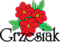 Logo - Specjalistyczne Gospodarstwo Nasienne Krzysztof Grzesiak, Iwiny 52-116 - Przedsiębiorstwo, Firma, NIP: 9121417063