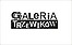 Logo - Galeria Trzewików S C Luiza Budrewicz Wacław Budrewicz, Elbląg 82-300 - Obuwniczy - Sklep, godziny otwarcia, numer telefonu, NIP: 5782595440