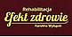 Logo - Rehabilitacja Efekt ZDROWIE Karolina Wyłupek, ul. Rudka 15B 22-470 - Przedsiębiorstwo, Firma, numer telefonu, NIP: 9222682393