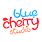 Logo - Blue Cherry Studio, Hanasiewicza 15, Rzeszów 35-103 - Przedsiębiorstwo, Firma