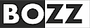 Logo - Centrum dystrybucji Towarów i Usług BOZZ Rafał Mańczyk 41-205 - Przedsiębiorstwo, Firma, godziny otwarcia, numer telefonu