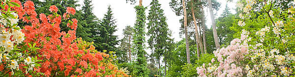 Zdjęcie w galerii Ogród Botaniczny na terenie Leśnego Zakładu Doświadczalnego w Rogowie nr 1