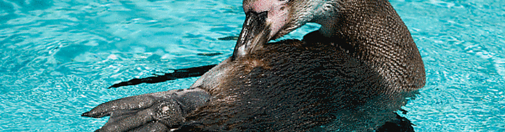 Zdjęcie w galerii Miejski Park i Ogród Zoologiczny w Krakowie nr 3