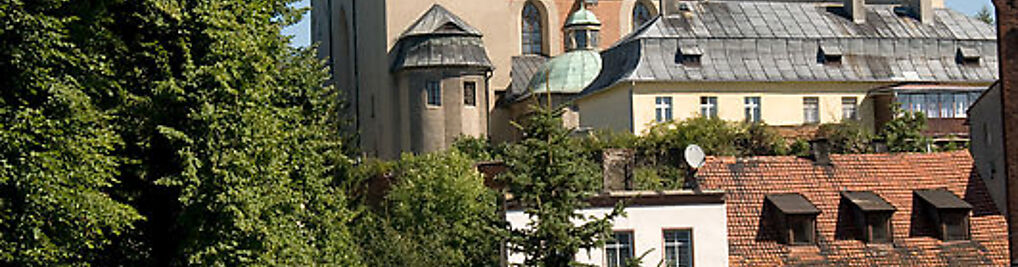 Zdjęcie w galerii św. Bartłomieja Apostoła nr 2
